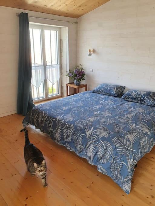 Le Chai Rit Villa Rivedoux Plage Bagian luar foto