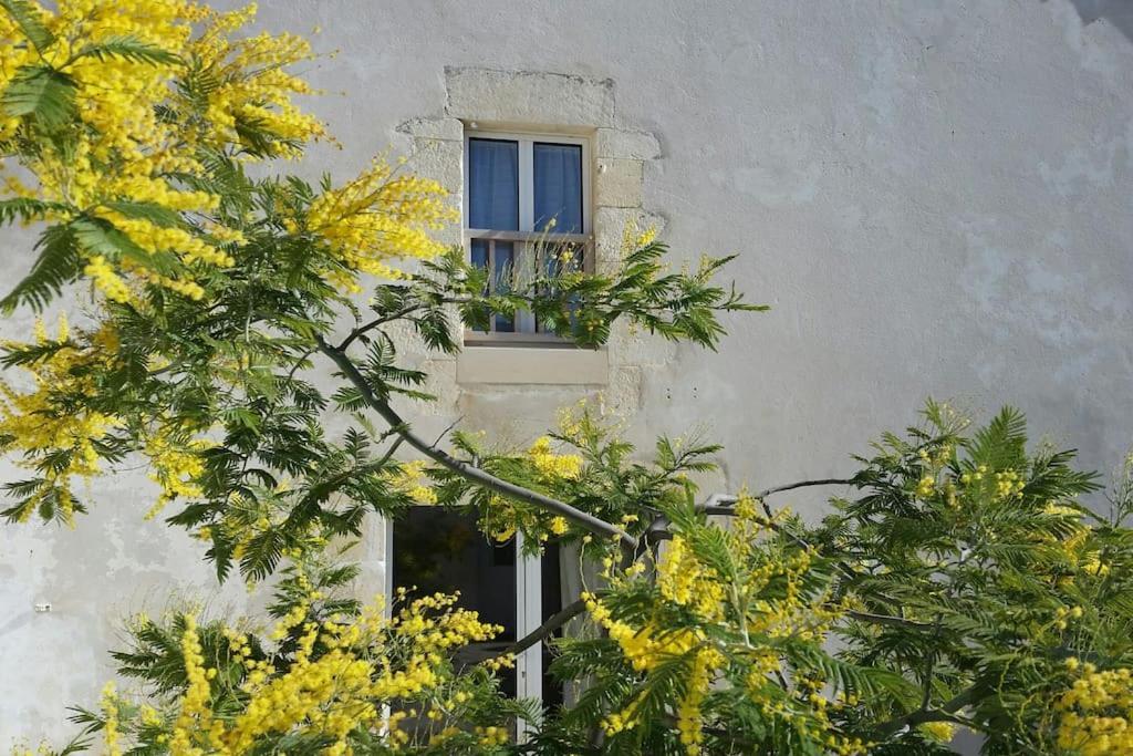 Le Chai Rit Villa Rivedoux Plage Bagian luar foto